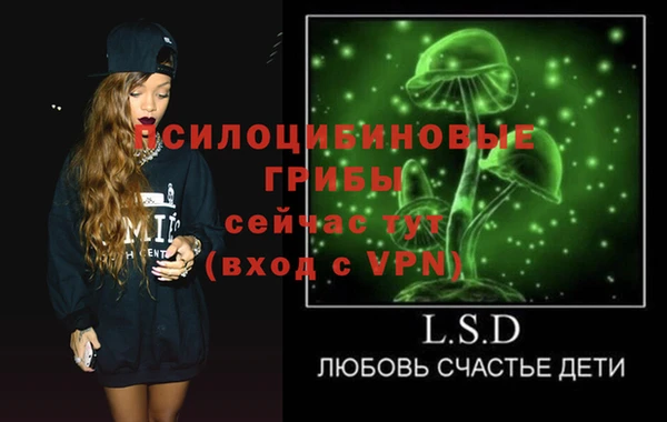 PSILOCYBIN Заводоуковск