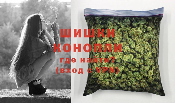 PSILOCYBIN Заводоуковск