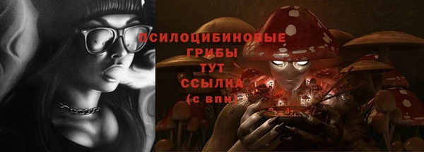 дмт Заволжск