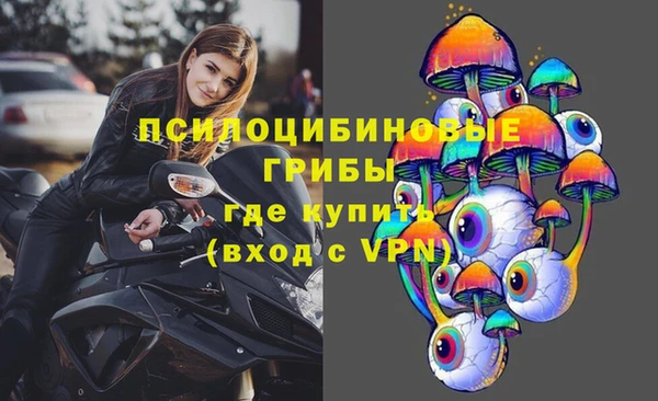 дмт Заволжск