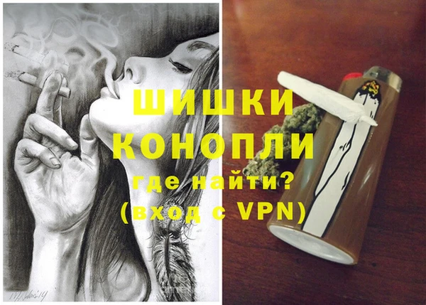 PSILOCYBIN Заводоуковск
